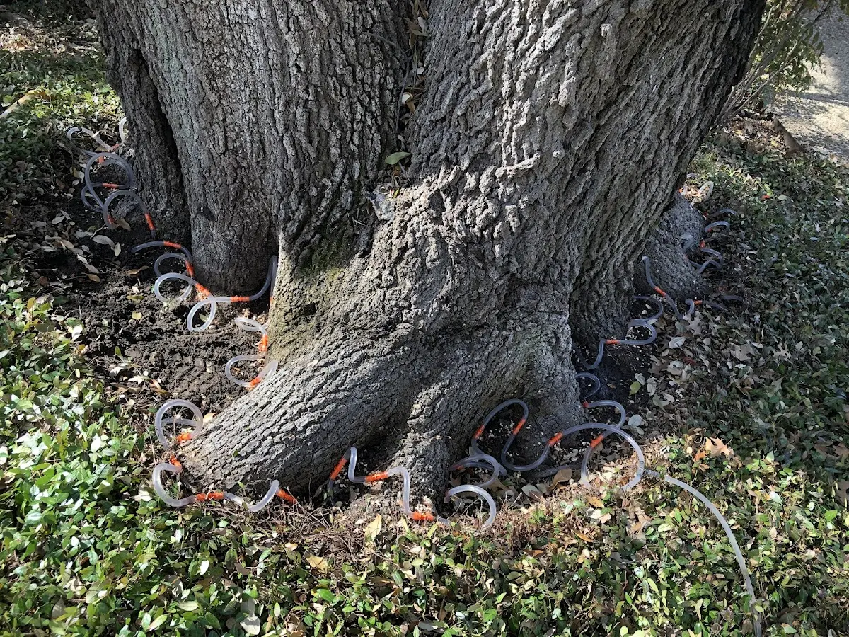 Detailed Shrub and Hedge Trimming job site in West Alton