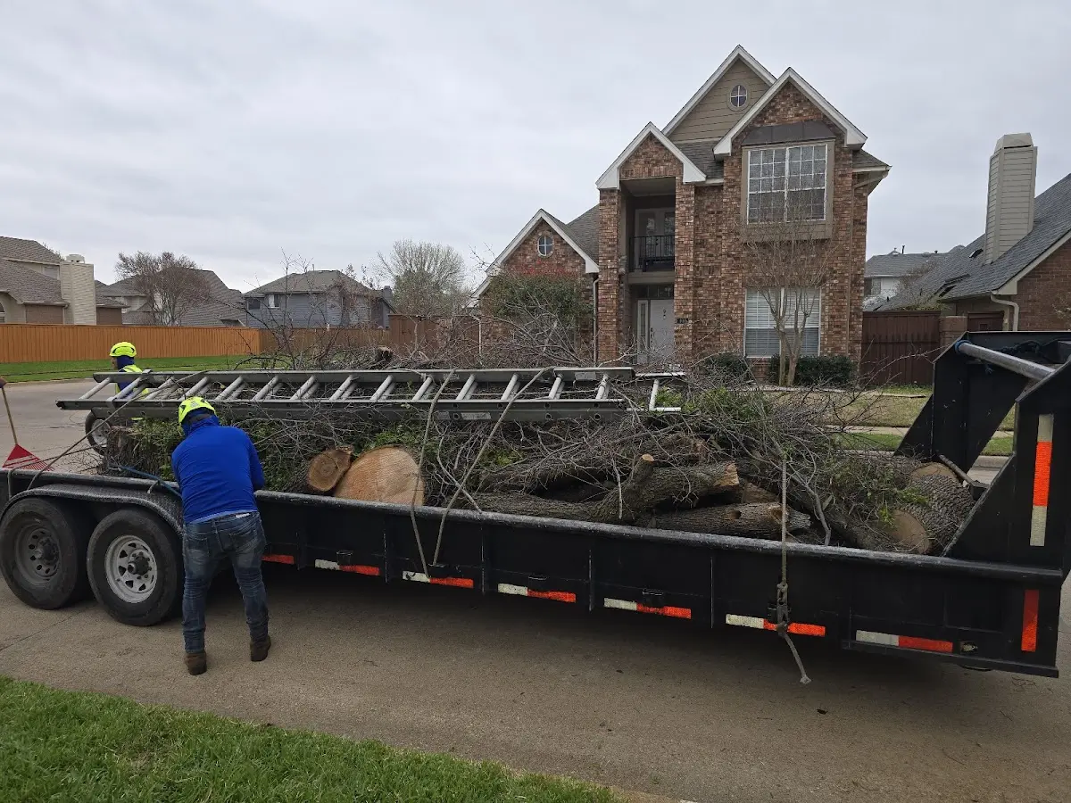 Expert Tree Removal with proper safety equipment in West Alton